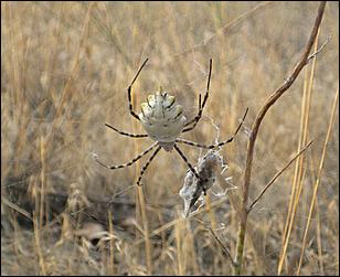 17 августа 2009 г., Барнаул   Из Барнаула к Черному морю на автомобиле