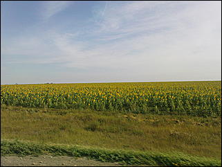 17 августа 2009 г., Барнаул   Из Барнаула к Черному морю на автомобиле