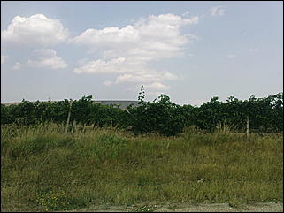 17 августа 2009 г., Барнаул   Из Барнаула к Черному морю на автомобиле