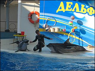 17 августа 2009 г., Барнаул   Из Барнаула к Черному морю на автомобиле