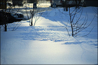 5 декабря 2018 г., Барнаул. Екатерина Смолихина   Тепло ли тебе, девица: Барнаул в условиях экстремальных холодов