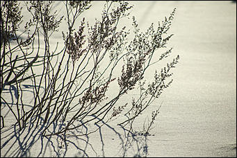 5 декабря 2018 г., Барнаул. Екатерина Смолихина   Тепло ли тебе, девица: Барнаул в условиях экстремальных холодов