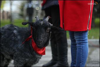 21 мая 2018 г., Барнаул. Екатерина Смолихина   Летучие мыши, живая музыка и кэндо: чем удивила "Музейная ночь" барнаульцев
