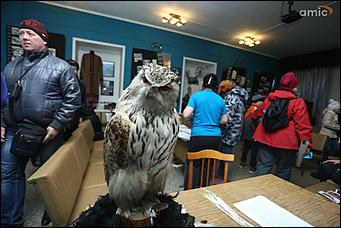 21 мая 2018 г., Барнаул. Екатерина Смолихина   Летучие мыши, живая музыка и кэндо: чем удивила "Музейная ночь" барнаульцев