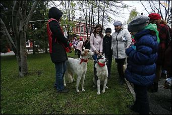 21 мая 2018 г., Барнаул. Екатерина Смолихина   Летучие мыши, живая музыка и кэндо: чем удивила "Музейная ночь" барнаульцев