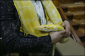 21 мая 2018 г., Барнаул. Екатерина Смолихина   Летучие мыши, живая музыка и кэндо: чем удивила "Музейная ночь" барнаульцев