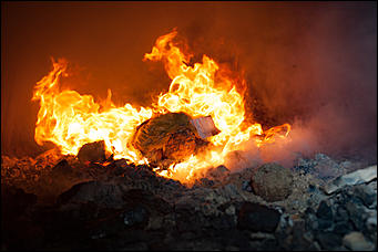 14 октябрь 2016 г., Барнаул  © Амител Вячеслав Мельников   Вместо яблок – героин: как в Барнауле сожгли рекордную партию наркотиков