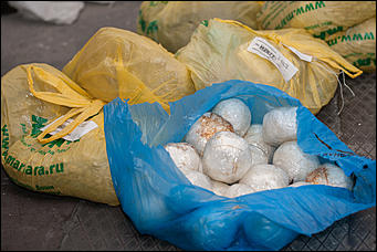 14 октябрь 2016 г., Барнаул  © Амител Вячеслав Мельников   Вместо яблок – героин: как в Барнауле сожгли рекордную партию наркотиков