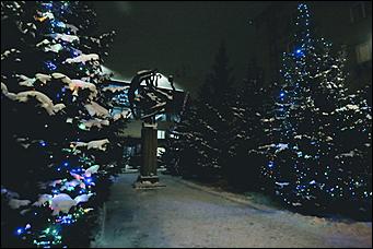 16 декабря 2020 г., Барнаул. Екатерина Смолихина   Светящиеся бокалы, балерины и бык. Как Барнаул принарядился к Новому году