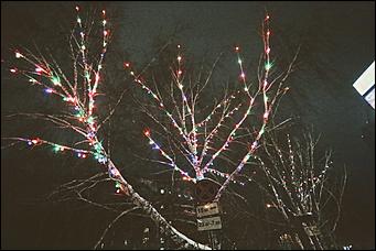 16 декабря 2020 г., Барнаул. Екатерина Смолихина   Светящиеся бокалы, балерины и бык. Как Барнаул принарядился к Новому году