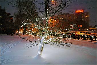 16 декабря 2020 г., Барнаул. Екатерина Смолихина   Светящиеся бокалы, балерины и бык. Как Барнаул принарядился к Новому году