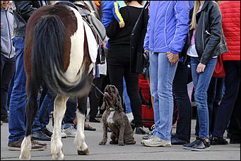 21 май 2017 г., Барнаул   Ночь, когда залы музеев полны людей