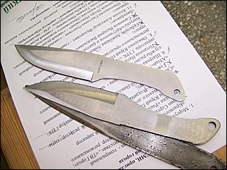 29 ноября 2008 г., Барнаул   Соревнования по метанию ножей: турнир для СМИ