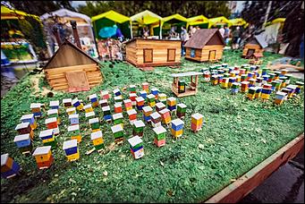    Медовый Спас на Алтае- 2014  