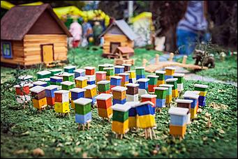    Медовый Спас на Алтае- 2014  