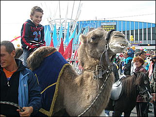 4 сентября 2010г., Барнаул   Открытие Дня города на пл.Сахарова