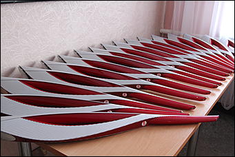    Олимпийский огонь в Барнауле 