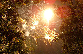 30 августа 2008 г., Барнаул   Праздничный фейерверк "С Днем рождения Барнаул"