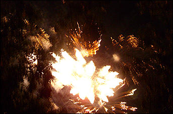 30 августа 2008 г., Барнаул   Праздничный фейерверк "С Днем рождения Барнаул"