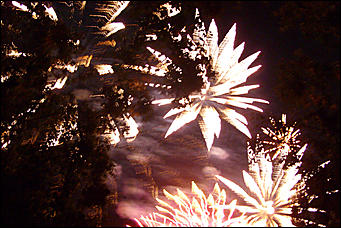 30 августа 2008 г., Барнаул   Праздничный фейерверк "С Днем рождения Барнаул"