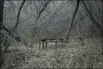 10 ноября 2017 г., Барнаул. Екатерина Смолихина   Фотопрогулка по барнаульской Кубе