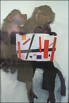 1 февраля, Барнаул   "Синие носы" делают вызов Барнаулу