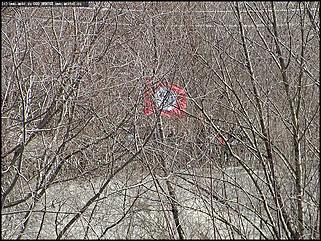    Первое мая в Барнауле