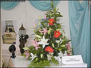    Выставка цветов