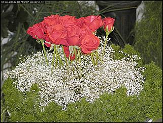    Выставка цветов