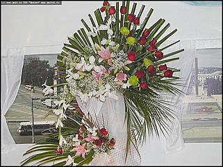    Выставка цветов