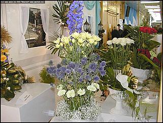    Выставка цветов