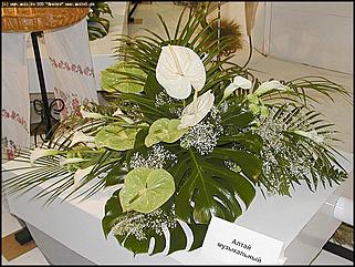    Выставка цветов