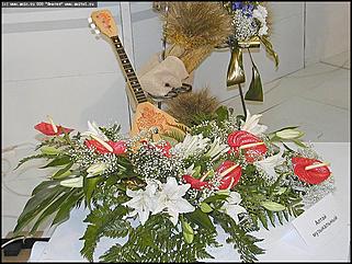    Выставка цветов