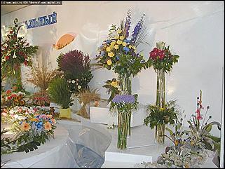    Выставка цветов