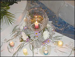    Выставка цветов