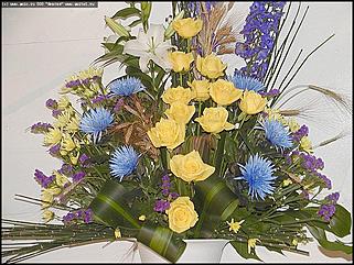    Выставка цветов