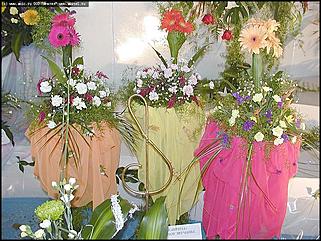    Выставка цветов
