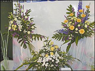    Выставка цветов