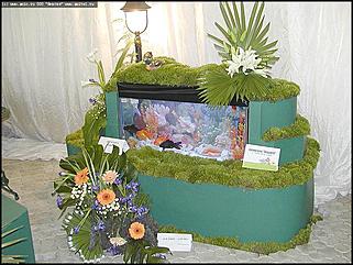    Выставка цветов