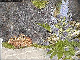    Выставка цветов