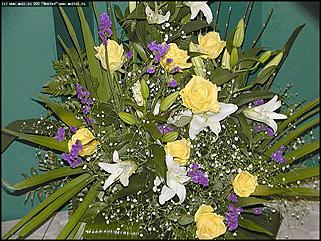    Выставка цветов