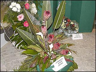    Выставка цветов