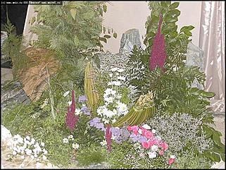    Выставка цветов