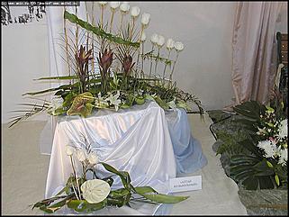    Выставка цветов