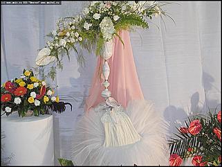    Выставка цветов