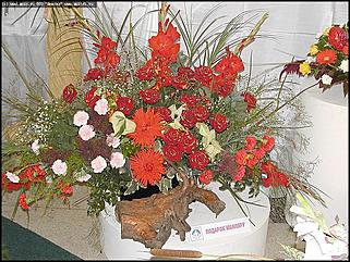    Выставка цветов