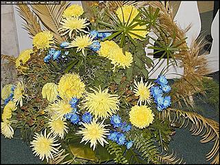   Выставка цветов