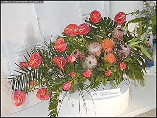   Выставка цветов