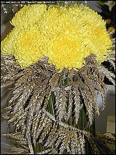    Выставка цветов