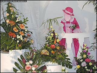    Выставка цветов